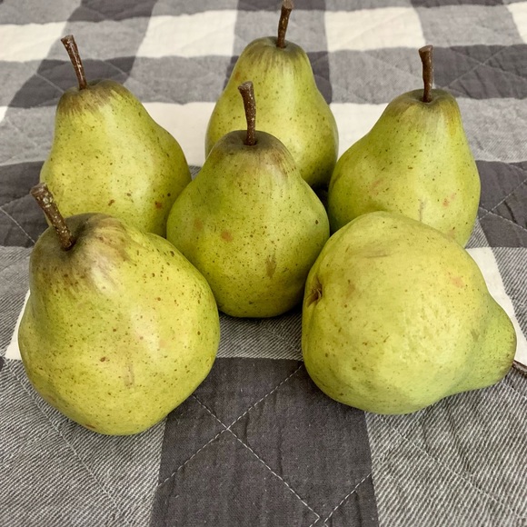Like new POTTERY BARN faux pears - Picture 2 of 3
